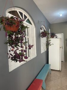 WhatsApp Image 2025-10-21 at 13.51.28 (1)